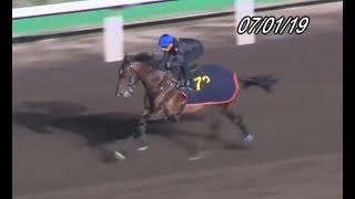 香港 賽馬 R6 一月盃 選一隻從未在港入位嘅馬作膽