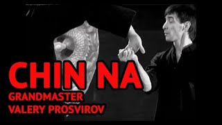 Chin Na is Chinese Martial Arts Techniques to Control or Lock Opponent's Joints
