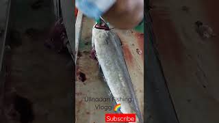 #Short#Part 1# Fish Cutting#Gilled\u0026Gutted#Mahi Mahi Fish@Ullnadan Fishing Vlogg 🌈(Chain Cover)