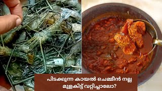 ചെമ്മീൻ മുളകിട്ട് വറ്റിച്ചത് / Prawns Curry / Chemmen mulaku curry / Toddy Style Prawns Curry / KFF