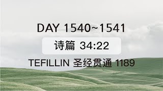 Tefillin [Day 1540-1541]  诗篇 34:22 宣布圣经 50次