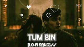 Tum Bin (Slowed + Reverb) | Ankit Tiwari | Tum Bin