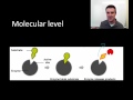 Enzyme proteins