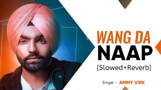 WANG DA NAAP [Slowed+Reverb] - Ammy Virk | Punjabi Lofi Song | Chill with Beats | Textaudio