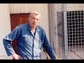 Karl Meuleman master racing pigeons breed