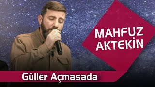 Mahfuz Aktekin   Güller Açmasada