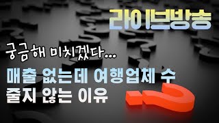 8월 6일 라이브방송-매출 없는데 여행업체 수 줄지 않는 이유