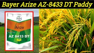 Arize AZ-8433 DT Paddy seeds| bayer Arize 8433dt full information  |arize8433dt | Hukesh pradhan