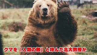 【感動】クマを駆除したら猟銃取り上げ？世界一優しいヒグマ　北海道　熊を手なずけ家族の密話