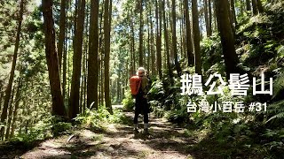 【台灣小百岳】#31 鵝公髻山