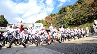 愛知淑徳大学よさこい探究会「鳴踊」　龍馬よさこい2017 1日目 龍馬演舞場(広角)