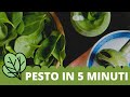 Pesto di spinaci in 5 minuti