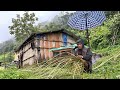 Simple Best Silpachaur Village in Nepal || Most peaceful & Relaxing mountain life | TheVillageNepal