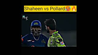 Big Fight Shaheen Afride vs Pollard PSL 8 | LQ vs MS | PSL 8 highlights| #cricket  #shaheenafridi