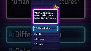 Identify the structure not included in the four basic human body structures.