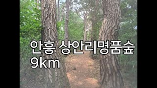 [DS122] 횡성 안흥 상안리명품숲_9km​   \