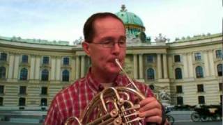 Mozart Horn Concerto No 1, 1st Mvnt, Steve Park - Horn