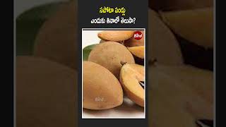 సపోటా పండ్లు ఎందుకు తినాలో తెలుసా? | Do you Know Why Should We Eat Sapota Fruit? | Bird Health