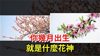 你幾月出生，就是什麼花神，[星座運勢大全]