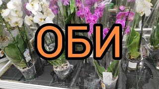 28.02.21.ОРХИДЕИ и розы😃 ПРЕДпраздничный ОБИ.. Мега Парнас.