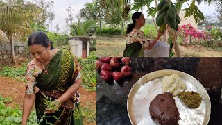 ஒரு ஹெல்தியான தோட்டத்து சமையல் புளிச்சகீரை கடைசல் 🥬