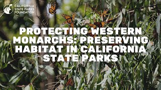 Protecting Western Monarchs: Preserving Habitat in California state parks