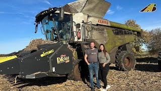 Mais Ernte 2024 Körnermais dreschen Mähdrescher Claas Lexion \u0026 Traktor McCormick Landwirtschaft Farm