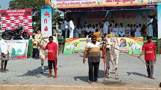 రెంటచింతల గ్రామము 2 పళ్ళు విభాగము 2వ జత