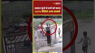 Stray Dog Attack: आवारा कुत्ते ने बच्चे को काटा, CCTV में कैद हुई घटना