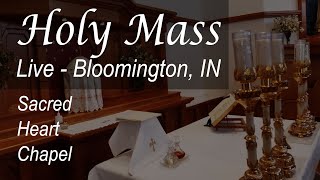 Live Mass \u0026 Rosary - Sts. Berard \u0026 Comp - 7 AM - Tue - Jan 16