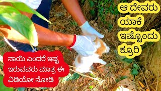 Lot's of good people around us | ನಾಯಿಗೆ ನೀವು ಏನಾದರೂ ಸಹಾಯ ಮಾಡಿದರೆ, ನಿಮ್ಮ ಪಾಪಗಳು ಮುಕ್ತಿ ಆದಂತೆ....