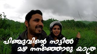 പിഞ്ചുവിന്റെ നാട്ടിലെ മധുരിക്കും ഓർമ്മകൾ | Come on everybody | Vlog No 21