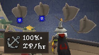 I Uncovered OP Sailing Training Methods