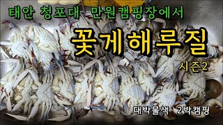 청포대 해수욕장 꽃게해루질 사이즈 대박