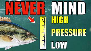 Fish Behavior: Does Barometric Pressure REALLY Matter?