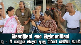 බිනෝලිගේ සහ මල්කාන්තිගේ ගු | ටි කෙලිය මැදට ආපු ගිරාට වෙච්ච වැඩේ