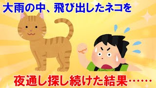 【2chほのぼの】大雨の中、飛び出したネコを夜通し探し続けた結果……