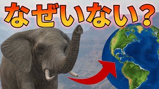 なぜアメリカにゾウがいないのか？【解説動画】