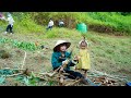 Growing and Harvesting Cassava, Vegetable Care, Cooking, Mountain Life | EP.99