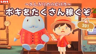 【あつ森】緊急ポキ稼ぎします！久しぶりのハピパラ配信！【あつまれ どうぶつの森】