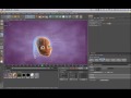 Tip - 47: Setting HAIR Start Position in Cinema 4D