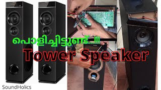 What’s inside in tower speakers | Philips spt6660 tower speakers | Malayalam | SoundHolics