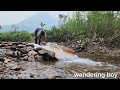 the boy lam used a wooden slide to catch fish in the stream. and caught many big fish.