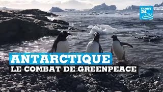 Le combat de Greenpeace en Antarctique