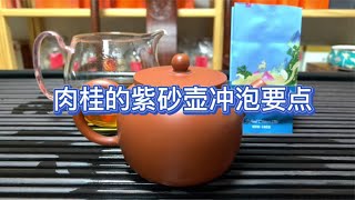 想要用紫砂壶冲泡出武夷岩茶肉桂的高香，要注意以下5大冲泡要点