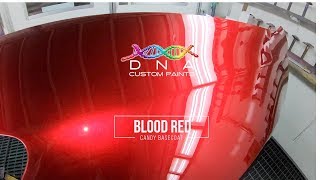 Blood Red - DNA Candy Basecoat