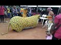 ugo masquerade dance at nwafor ogbunike festival 2022