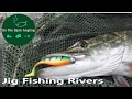 Fishing With Jigs for Perch and Pike - River Stour - Throop Fishery