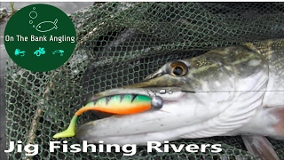 Fishing With Jigs for Perch and Pike - River Stour - Throop Fishery