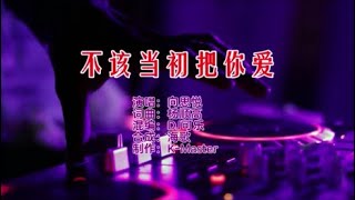 向思悦 《不该当初把你爱（DJ可乐版）》 KTV 导唱字幕 （备有伴奏视频）